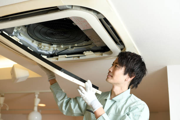 Air Duct Mold Removal in Freeport, TX
