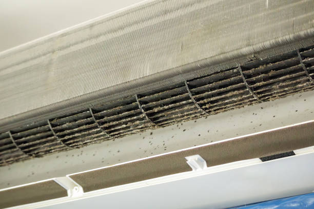 Best Emergency Air Duct Cleaning  in Freeport, TX