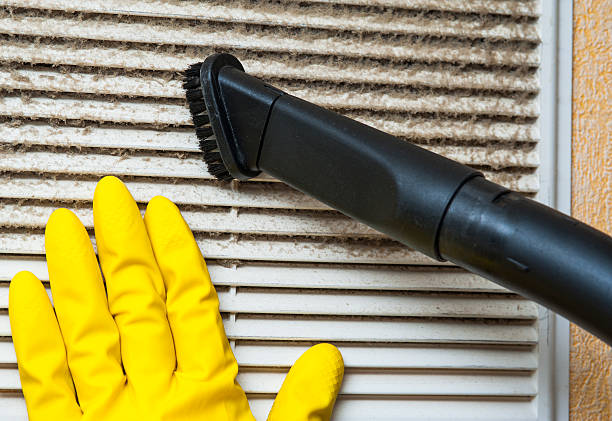 Best HVAC Air Duct Cleaning  in Freeport, TX